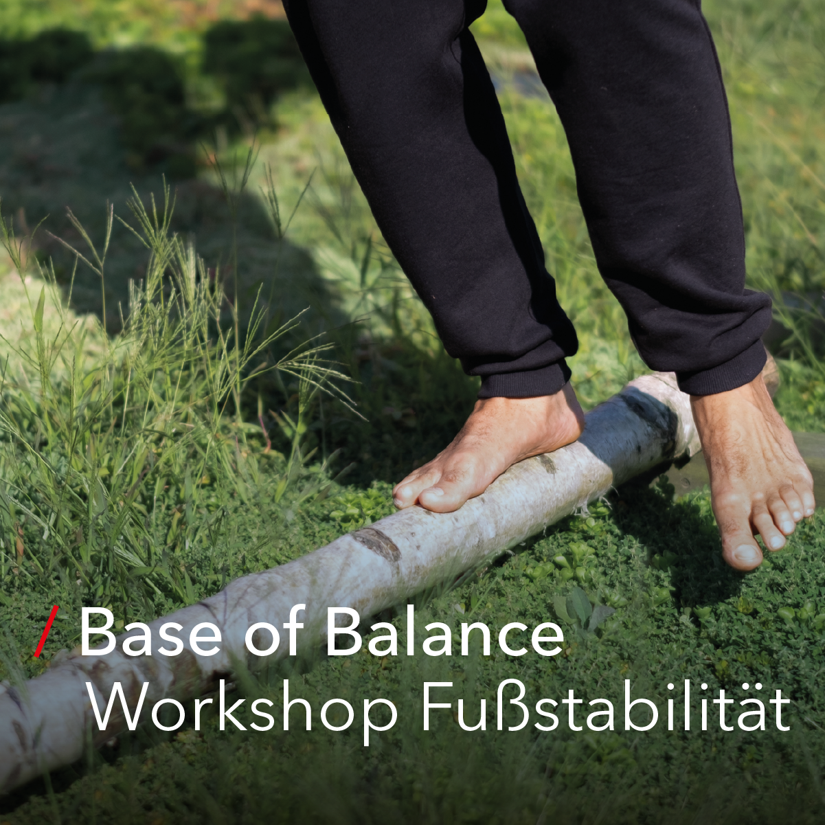 Basis Workshop Fußstabilität Ermäßigt